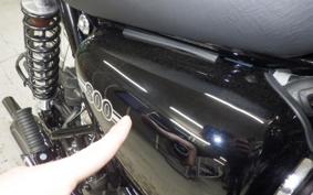 KAWASAKI W800 2024 EJ800E