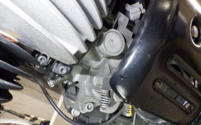KAWASAKI W800 2020 EJ800B
