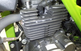 BENELLI TNT125