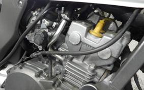 HONDA HORNET 250 1998 MC31