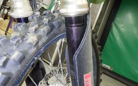 KAWASAKI KX250 F 2021 KX250Y