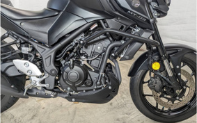 YAMAHA MT-03 2024 RH21J