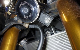 YAMAHA YZF-R25 2010 RG43J