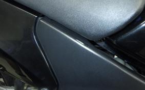 HONDA CBR1100XX 1999