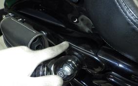 HARLEY XL1200XS 2019