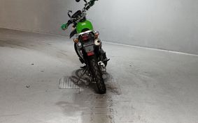KAWASAKI SUPER SHERPA KL250G