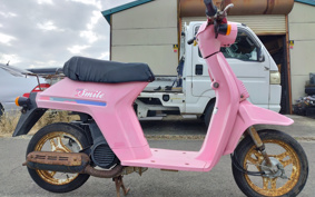 HONDA EVE SMILE AF06