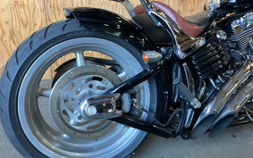 HARLEY HARLEY FXCWC 2008 JK5