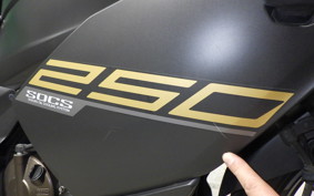 SUZUKI ｼﾞｸｻｰ250SF 2025 ED22B