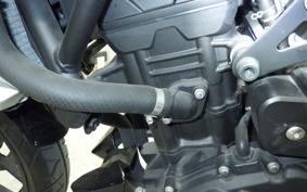 YAMAHA MT-25 2022 RG10J