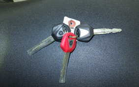 YAMAHA MT-09 2024 RN69J