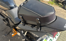 SUZUKI GSX250 R DN11A