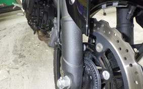 KAWASAKI Z250 Gen.2 2026 EX250Y