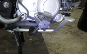 HONDA CROSS CUB 110 2007 JA60