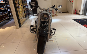 HARLEY  HARLEY FLFBS 2021 YGK