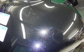 KAWASAKI NINJA 1000SX 2025 ZXT02K