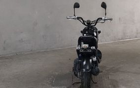 HONDA ZUMAR AF58