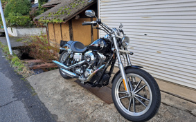 HARLEY FXDL1580 2009 GN4