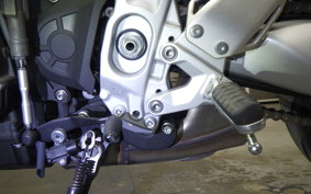 YAMAHA XSR900 GP 2024 RN96J