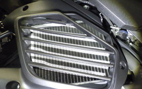 YAMAHA CYGNUS Griffus 2022 SEJ4J