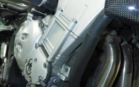 YAMAHA FZ1 FAZER 2008 RN21J