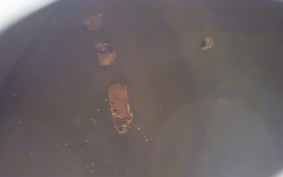 YAMAHA RZ250R 2016 29L