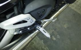 TRIUMPH SPEED TWIN 2024