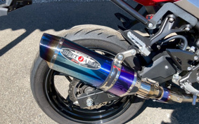 KAWASAKI Ninja 250 ABS EX250P