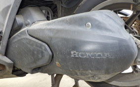 HONDA FAZE 2023 MF11