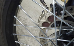 OTHER +ENFIELD ﾋﾏﾗﾔﾝ 2024