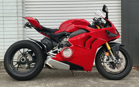 DUCATI PANIGA-REV4S 2021 DA00J
