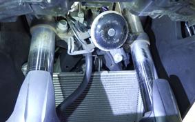 YAMAHA YZF-R25 2007 RG10J