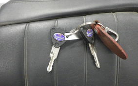 OTHER +UNREGISTERED MODEL by BDS125 1993