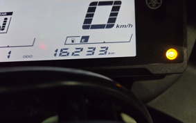 YAMAHA YZF-YZF-R3 ABS 2021 RH13J