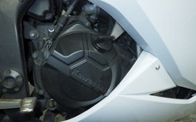 KAWASAKI NINJA 250 EX250L