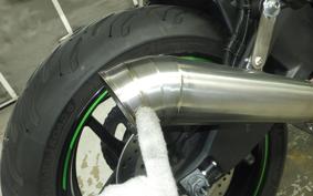 KAWASAKI ZH2 2020 ZRT00K