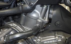DUCATI MONSTER 937 + 2022