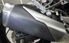 KAWASAKI Z250 A 2024 ER250C