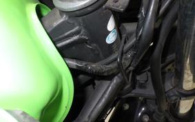 KAWASAKI NINJA 250R 2025 EX250K