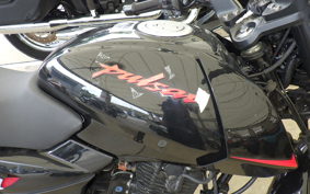 OTHER +BAJAJPALサー150(ショナシ