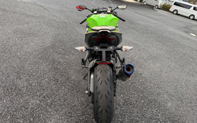 KAWASAKI NINJA ZX-6R 2019 ZX636G