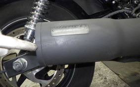 HARLEY XG750 STREET 2021