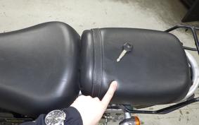 SUZUKI ST250E 2010 NJ4CA