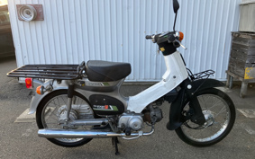 HONDA SUPER CUB50 C50