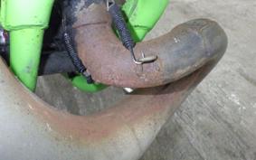 KAWASAKI KDX125 SR DX125A