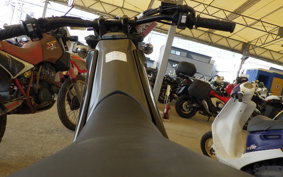 YAMAHA TRICKER DG10J