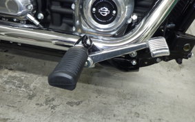 HARLEY FXST1750 2025