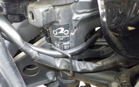 KAWASAKI NINJA 250R EX250K