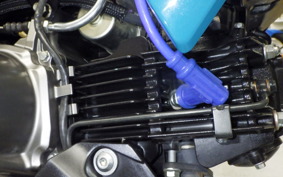 KAWASAKI Z125 PRO BR125H