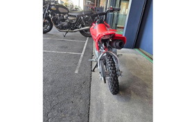 HONDA CRF50F 2024 AE04